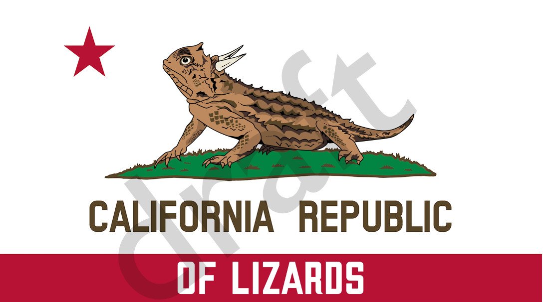 I adore California. I like bear and LOVE lizards so I made this design to celebrate my forthcoming book on California lizards!