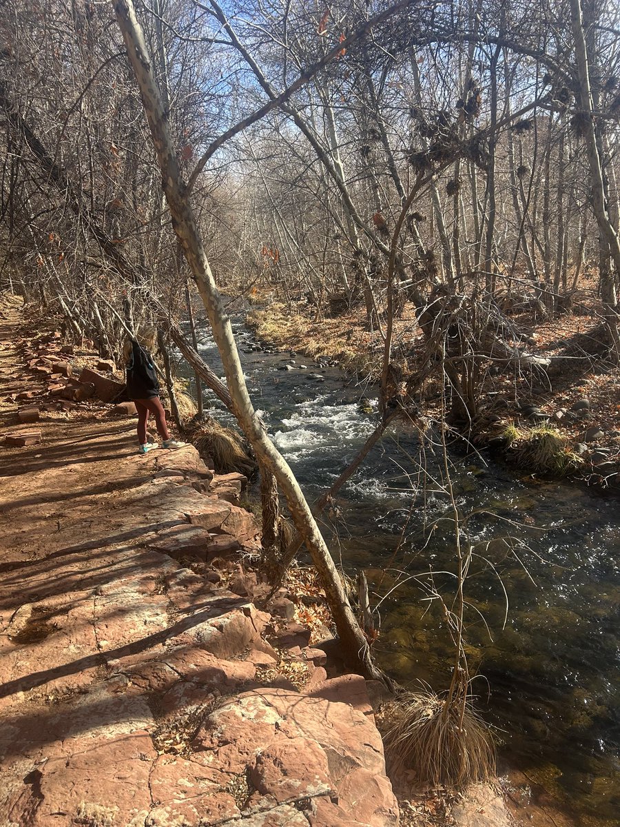 Big Diesel (@big_diesel18204) on Twitter photo 