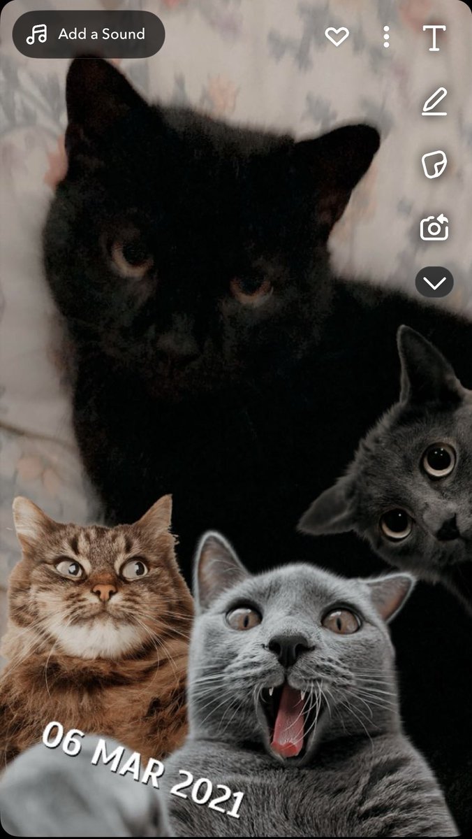 @Paula O’Connor art 2 (@paulaoconnorart) on Twitter photo 