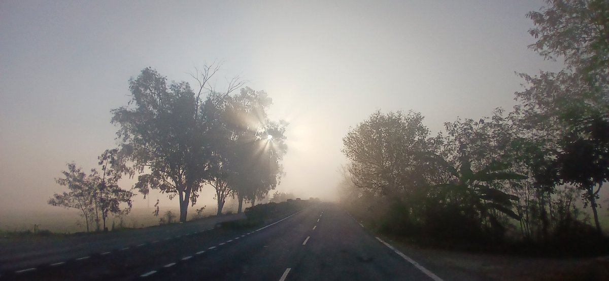 Truthvibeswrite's tweet image. The dawn becomes day
In a calm blessed way
Bestowed beauteous life
I knew not what I was
now i know 
Realisation aglow
Not Mere
Lapse of time
Life&apos;s all about
Earnest
Diligent
#Displacement of
The
Darkness of ignorance
📸ours
#vss365
#writing
#poetry
#PHOTOS
#poetryisforeveryone