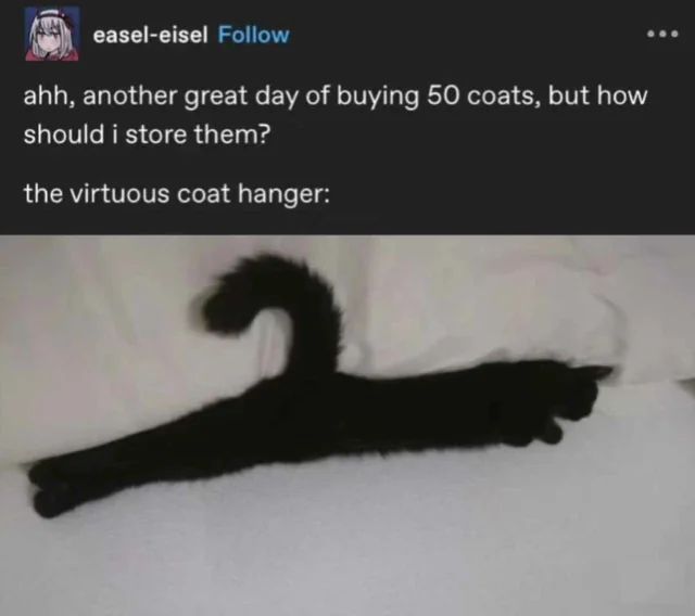 hourly_shitpost's tweet photo. https://t.co/6ZMtdmUqpt