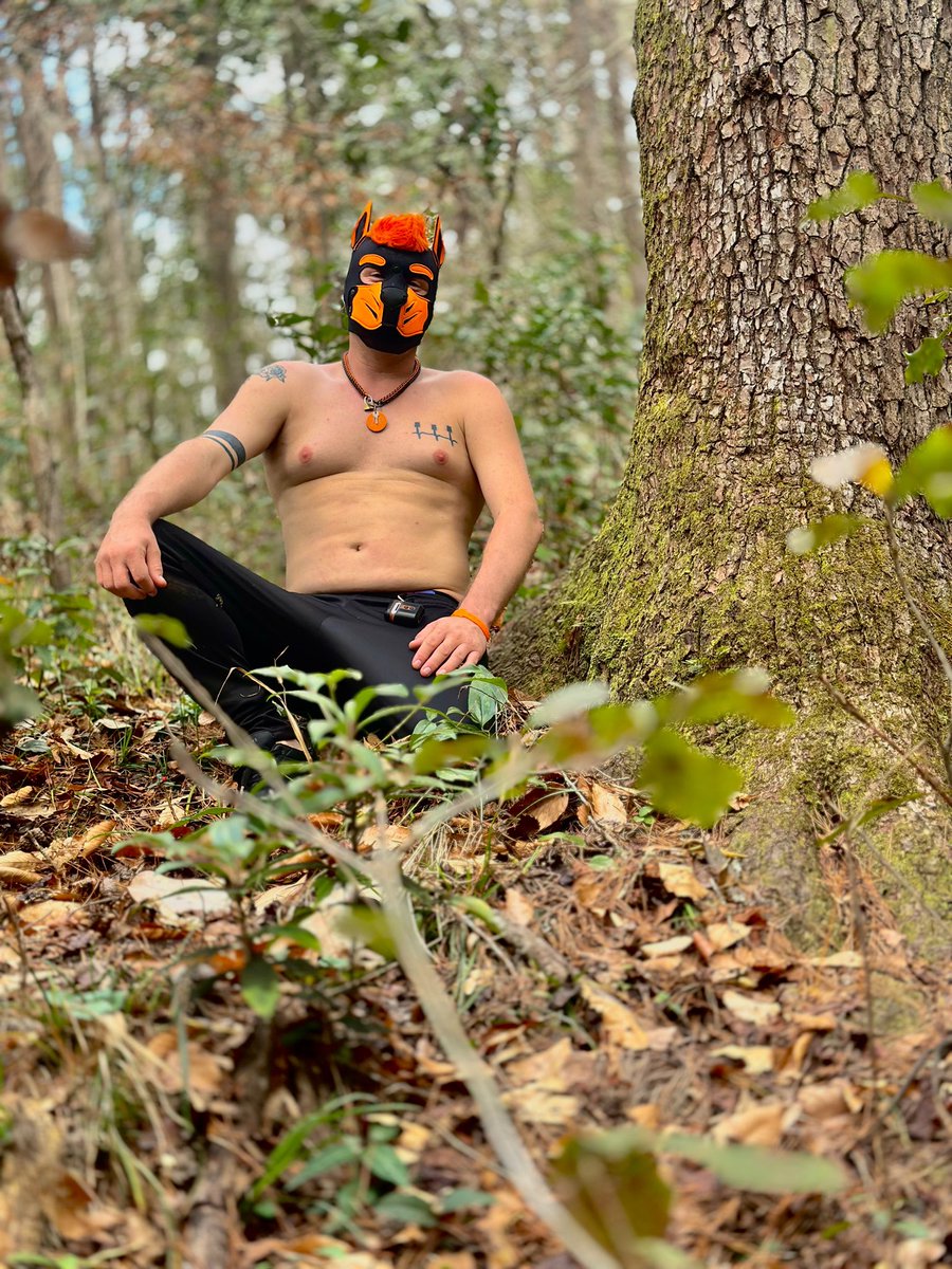 Took a moment to get outdoors and enjoy the weather 

#outdoorpup #naturepup #pupplay #pup #humanpup #gaypup #goodboi #goodpup #kink #bdsm #kinkcommunity #pupcommunity #bark