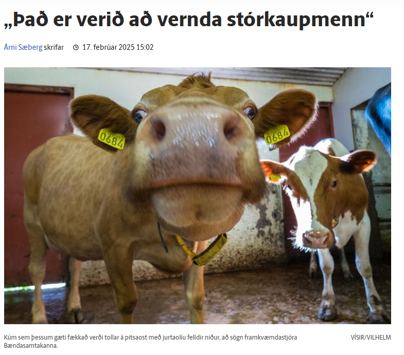 Magnús H. Jónasson tweet media