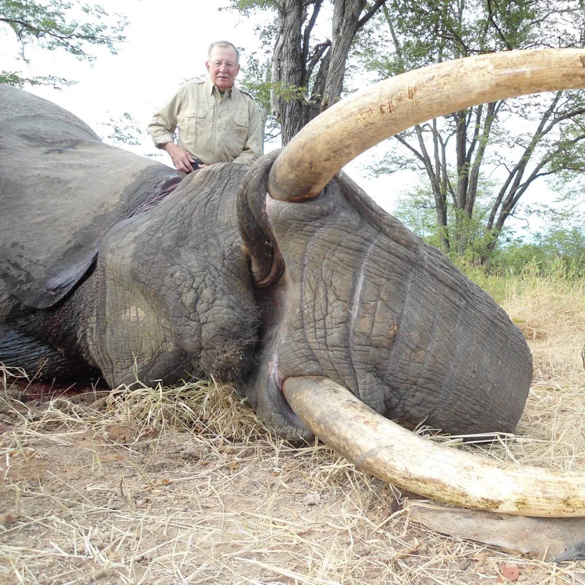 Xpose Trophy Hunting tweet media