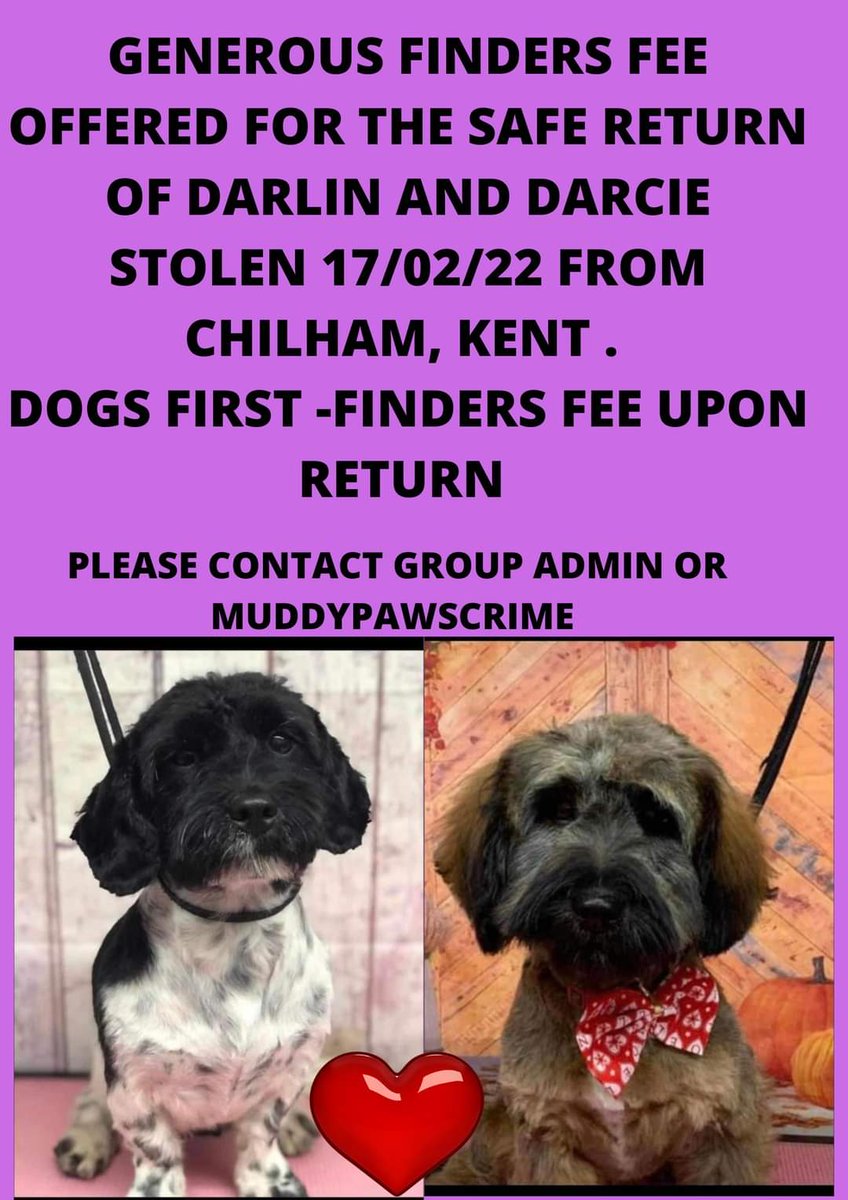 Please share this- 

Sadly it's now three years today DARLIN &amp; DARCIE were #stolen from their garden in #Chilham #CT4 #Kent last seen at 3:40 on Thursday 17 February 2022. 

Please get in touch if you have any information that can help either of them home 🙏🙏