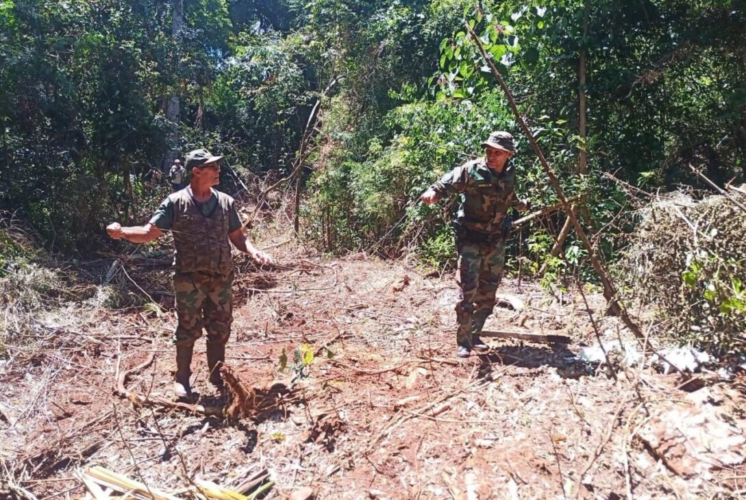 tv12misiones's tweet photo. ‼️ Desarticulan intento de robo de madera nativa
El hecho ocurrió este domingo en el Parque Provincial Foerster de Andresito
#Misiones #noticias #robodemadera #ecologia
https://t.co/V8dOkzNJxG https://t.co/5PQION0rXR