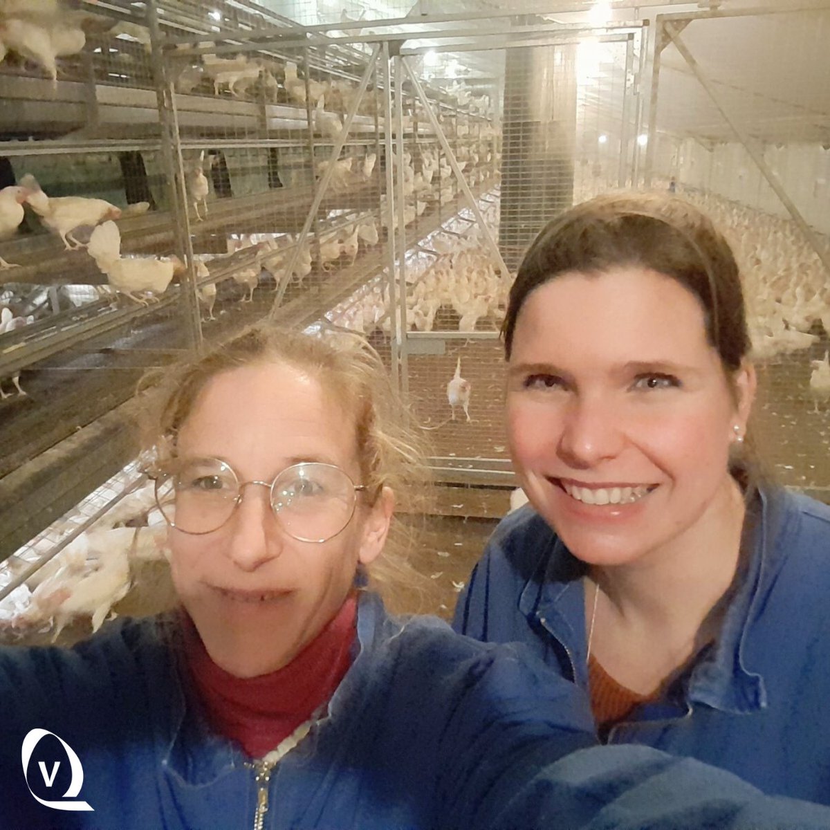 We are excited to announce the launch of the first pilot farm within the Interreg NWE OMELETTE project! Read the full article 📄 bit.ly/42KI43t

📸 Annabelle Vanhaecke from Pehestat and Marcella Merkelbach from Vencomatic Group