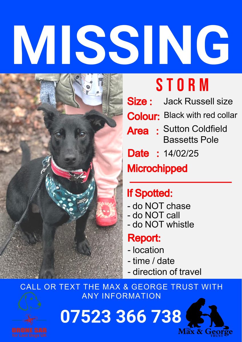 maxgeorgetrust's tweet image. Another lost dog search and trap erected this weekend ! Please share &amp;amp; report any sightings to 07523 366738

#mgtdogrescue
#lostdog
#search
#dogrescue