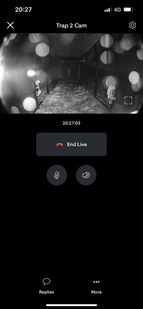 Another lost dog search and trap erected this weekend ! Please share &amp; report any sightings to 07523 366738

#mgtdogrescue
#lostdog
#search
#dogrescue