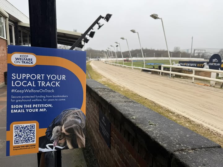 GBGB (@greyhoundboard) on Twitter photo 𝐒𝐮𝐩𝐩𝐨𝐫𝐭 𝐲𝐨𝐮𝐫 𝐥𝐨𝐜𝐚𝐥 𝐭𝐫𝐚𝐜𝐤
Thank you to <a href="/Star_Pelaw/">Star Pelaw Greyhounds</a> for spreading the word about our <a href="/welfareontrack/">Keep Welfare on Track</a> campaign 👏
Here's how you can help #KeepWelfareOnTrack:
1⃣ Sign and share the petition: petition.parliament.uk/petitions/7022…
2⃣ Email your MP: keepwelfareontrack.co.uk/email-your-mp/ 𝐒𝐮𝐩𝐩𝐨𝐫𝐭 𝐲𝐨𝐮𝐫 𝐥𝐨𝐜𝐚𝐥 𝐭𝐫𝐚𝐜𝐤
Thank you to <a href="/Star_Pelaw/">Star Pelaw Greyhounds</a> for spreading the word about our <a href="/welfareontrack/">Keep Welfare on Track</a> campaign 👏
Here's how you can help #KeepWelfareOnTrack:
1⃣ Sign and share the petition: petition.parliament.uk/petitions/7022…
2⃣ Email your MP: keepwelfareontrack.co.uk/email-your-mp/
