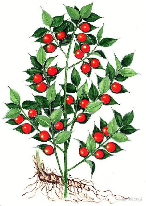 aranzadi's tweet photo. Adi naturzaleok‼️
Beste ekimen batekin gatozkizue! Hurrengo asteetan zehar, Euskal Herriko erratzen inguruan bitxikeriak kontatzen ibiliko gara, eta, trukean, zuek #erratza horien inguruko informazio bilketan laguntzea gustatuko litzaiguke.
Barneratu #erratza proiektuan! https://t.co/SMXTFaYmjd