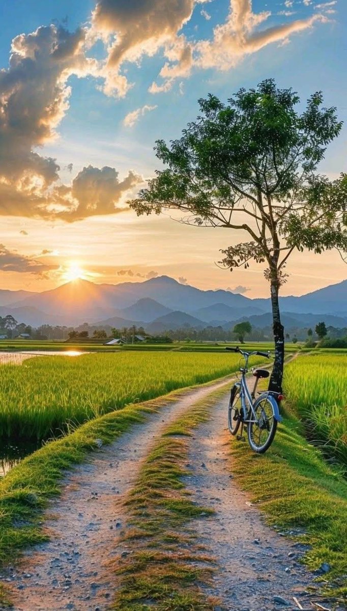 Tim (@tim552033210568) on Twitter photo 