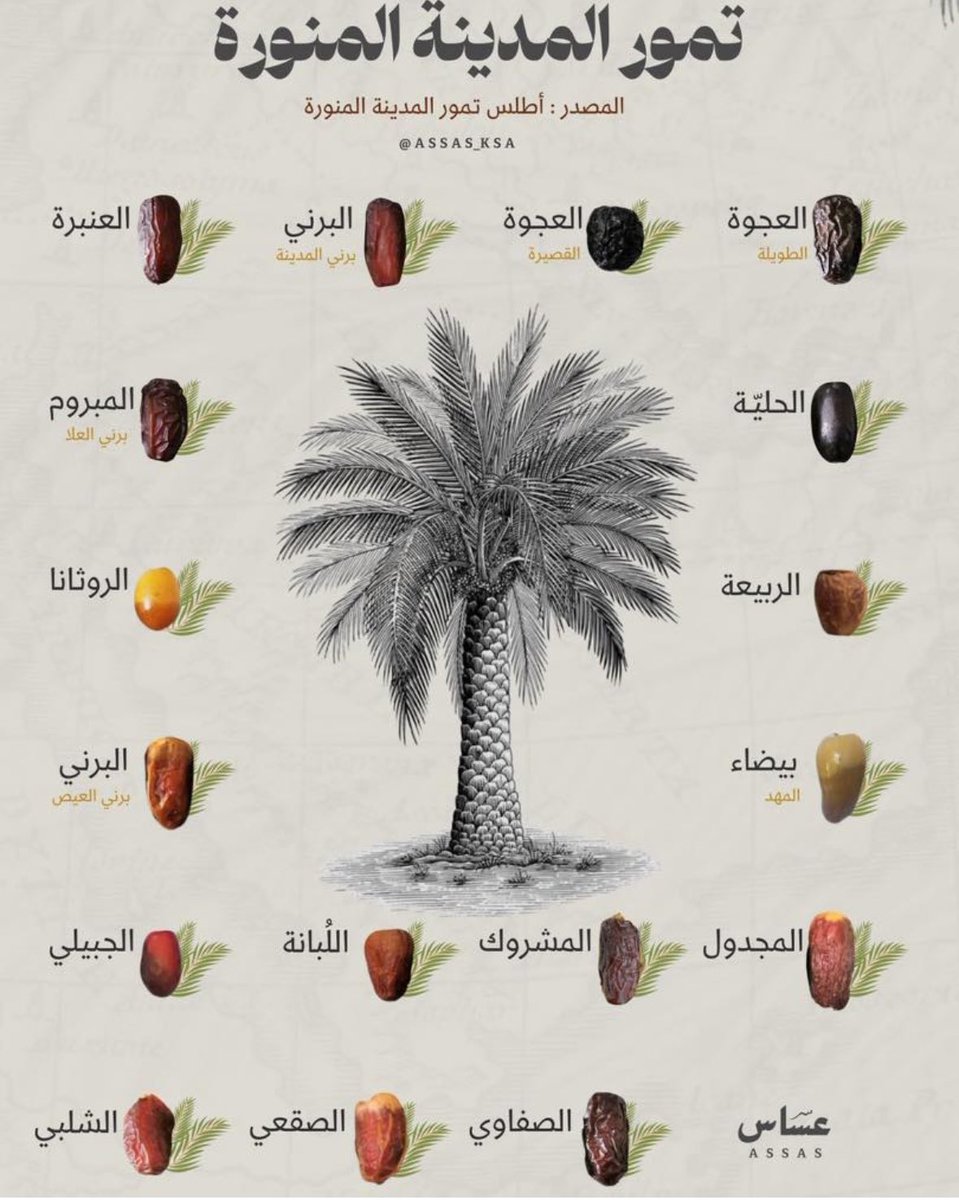 أسماء أنواع التمور في المدينة المنورة، على ساكنها أفضل الصلاة وأتم التسليم.