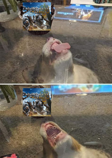 Ganelan (@ganelanhunter) on Twitter photo 