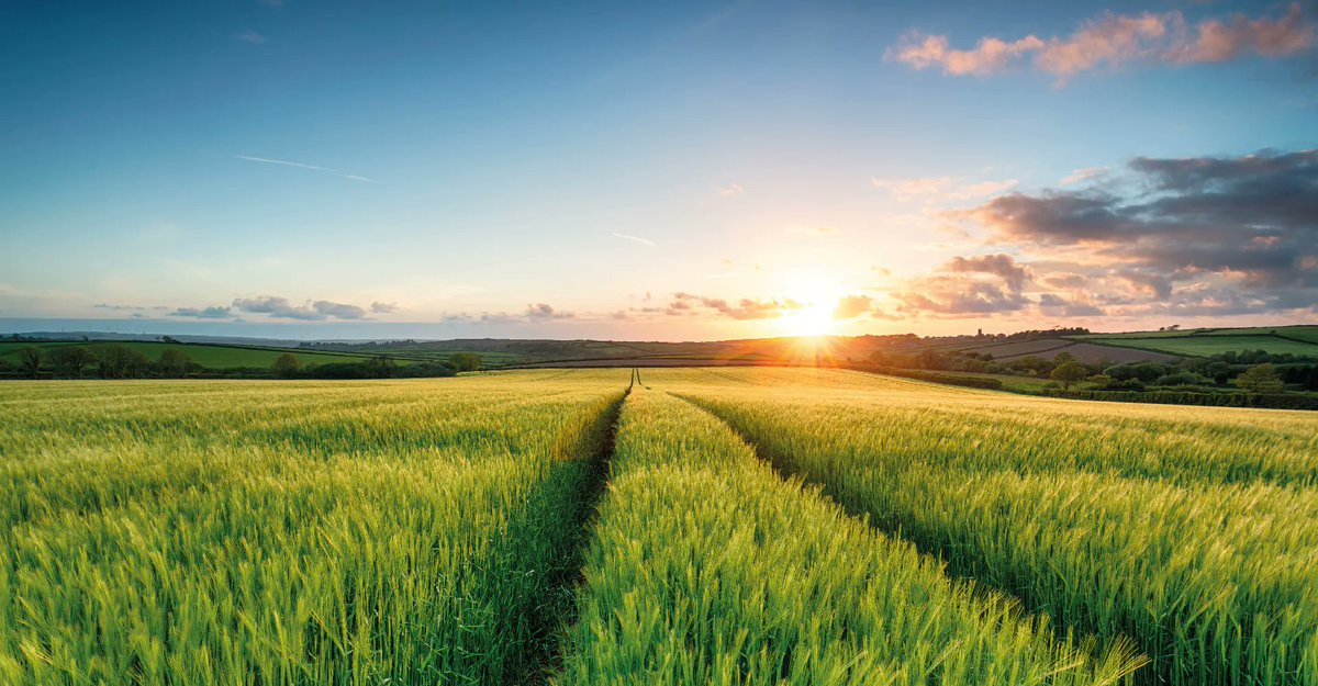 We partnered with OMEX to modernise its operations with Microsoft Business Central, driving efficiency, AI-powered automation, and a greener future. 🌱🚜

➡️ Learn mhttps://lnkd.in/eayg42mF

#BusinessCentral #AI #Agriculture