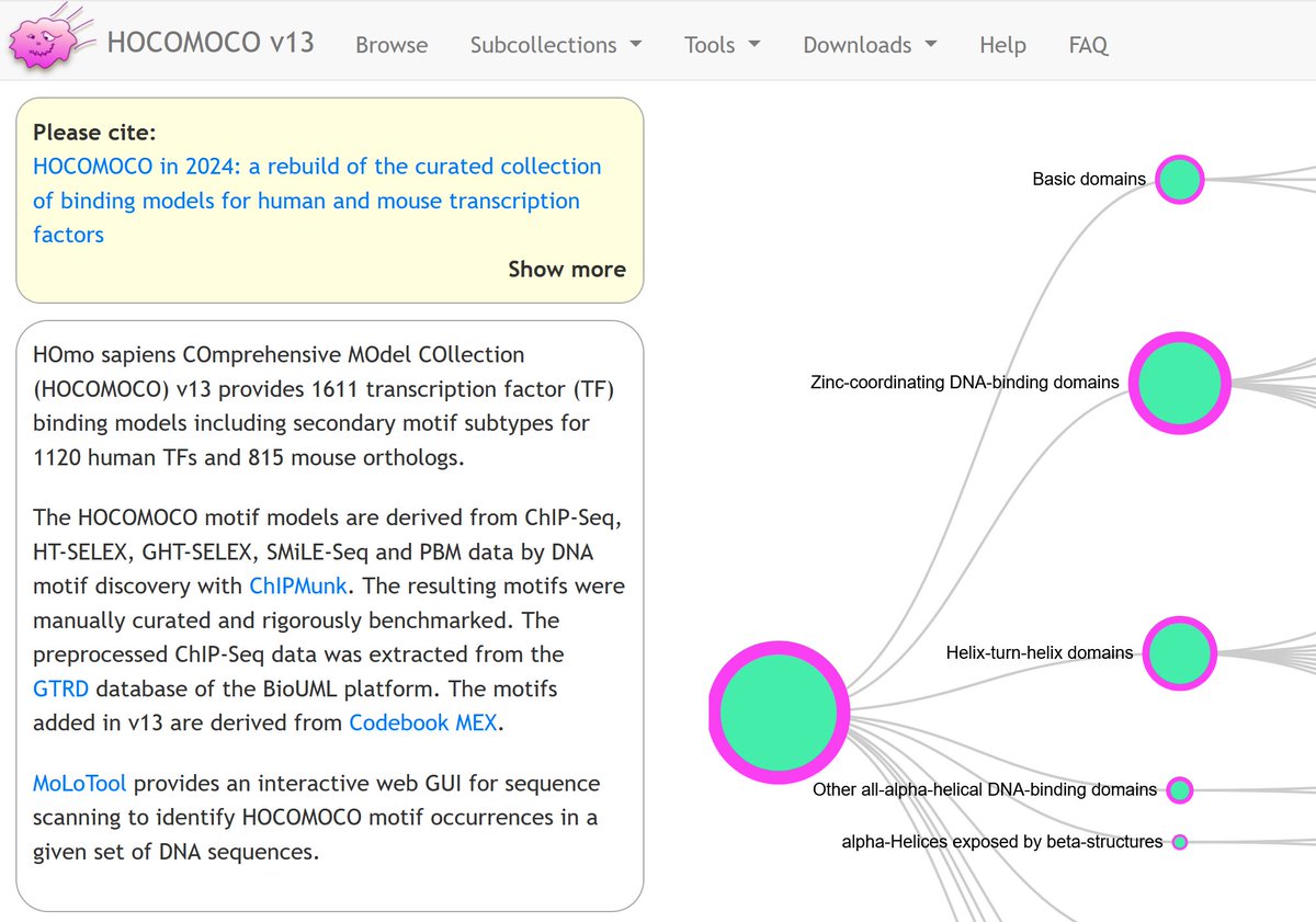 Vanja (Ivan Kulakovskiy) tweet media