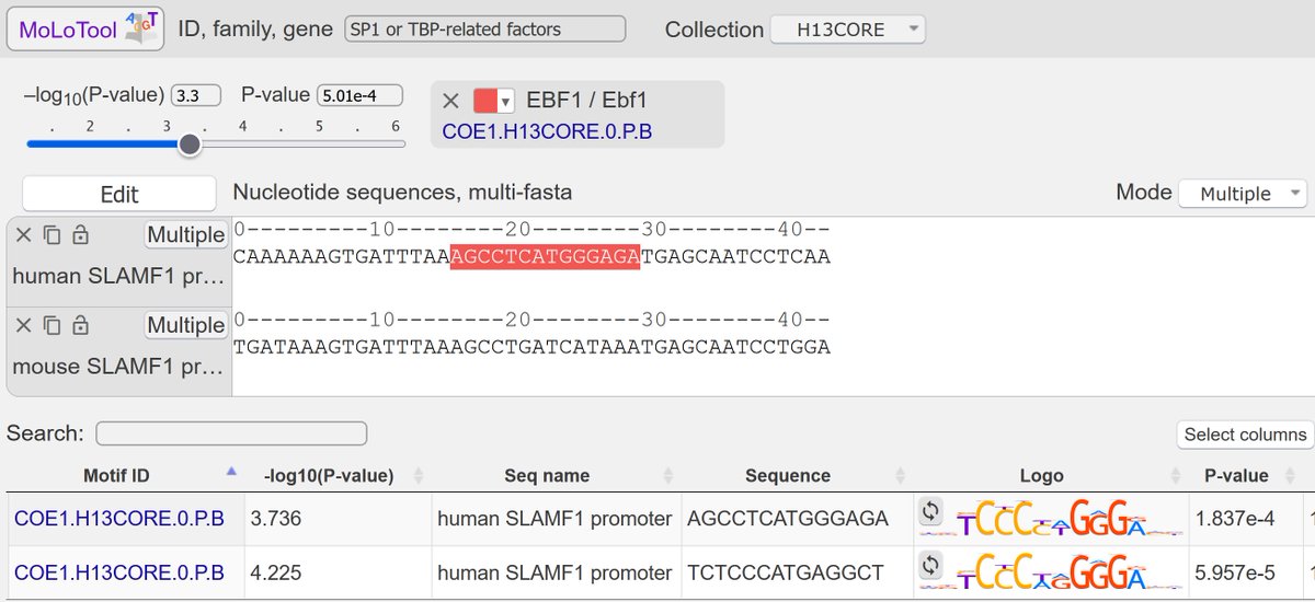 Vanja (Ivan Kulakovskiy) tweet media