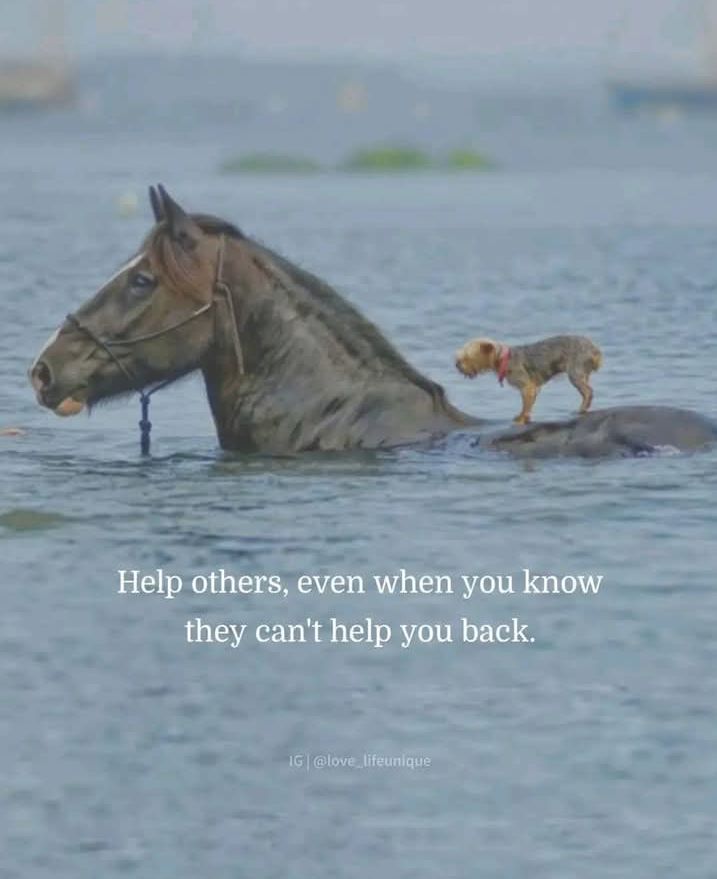 stwenactus's tweet image. Life fulfilment is our main purpose in this world. it's about restoring #PEACE to homes! #Mentally stable minded individuals @JohnElsey11 @nmcnews @_nmcwatch @Catheri43640214 @SacredHeartMbro @MbroCouncil @AndyMcDonaldMP @DawnButlerBrent @Oluomoofderby @ronkecarew @kate_ernest4