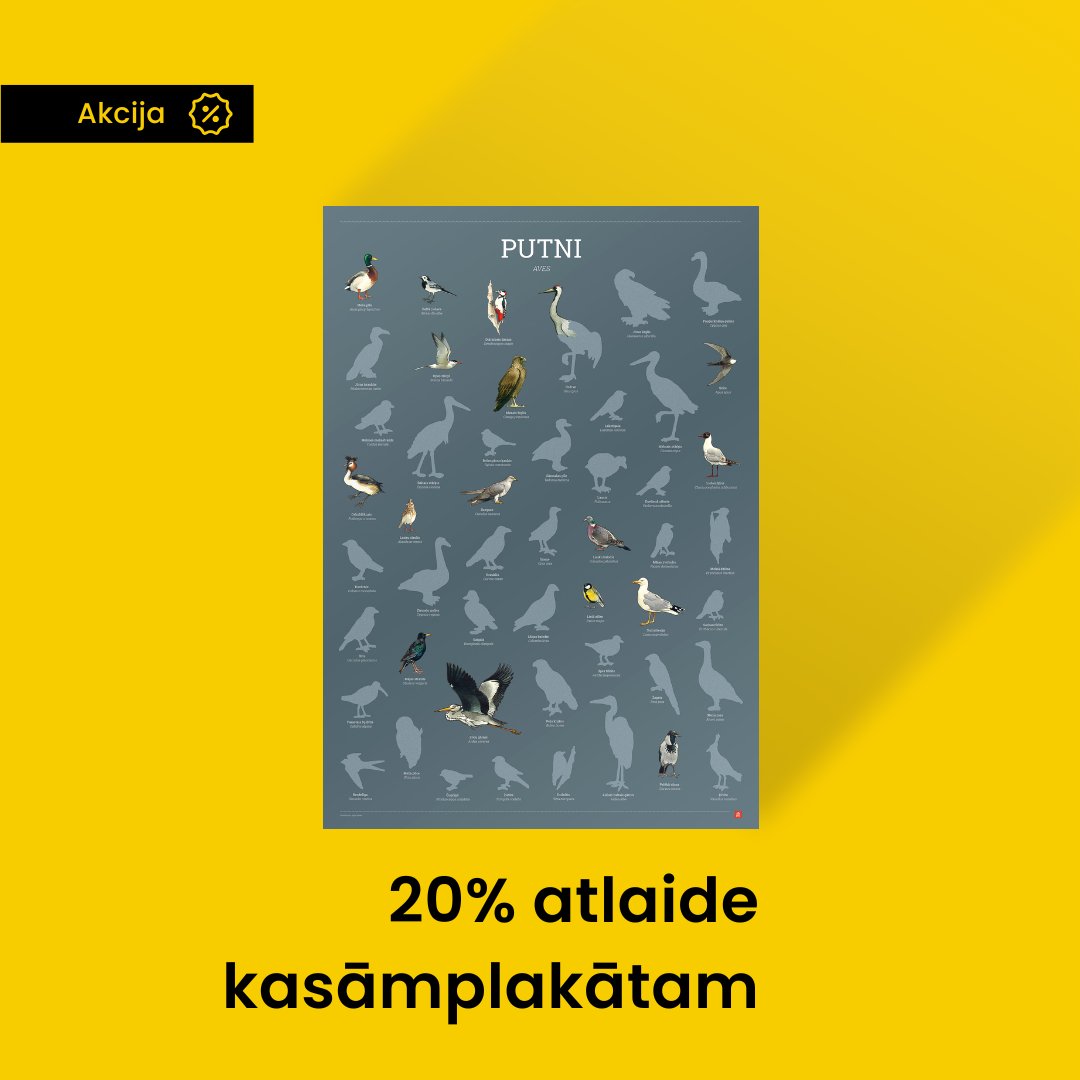 🎂Sirsnīgi sveicam mūsu draugus – <a href="/LOB_lv/">Latvijas Ornitoloģijas biedrība</a>  40. gadadienā! 
Par godu šim notikumam dāvinām 20% atlaidi "Putnu noteicējam" un kasāmplakātam "Latvijas putni"!
Svinēsim svētkus visu nedēļu – akcija spēkā līdz 23. februārim.
kartes.lv/lv/shop/