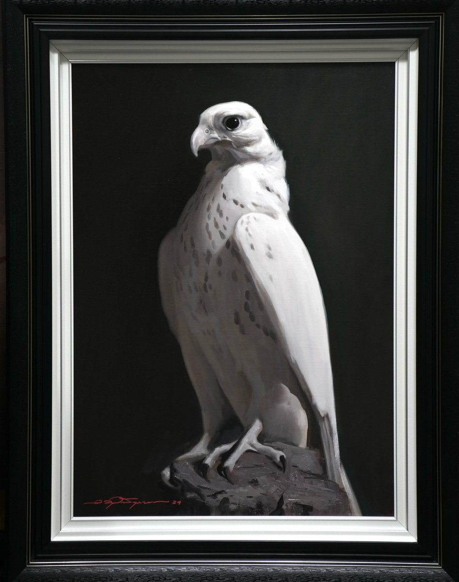 Цагаан шонхор