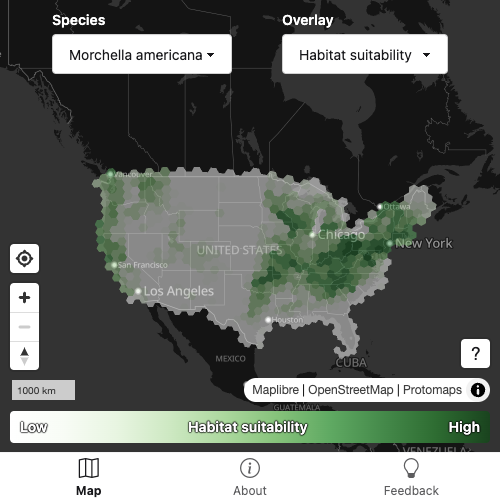 Nick Convery tweet media