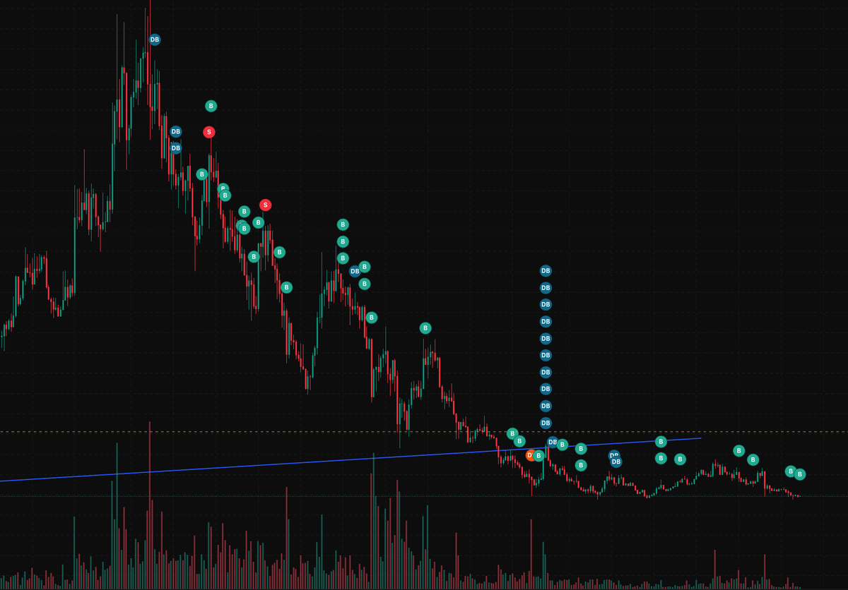 Some see red, I see future gains, AI will have run back 
conviction stays strong