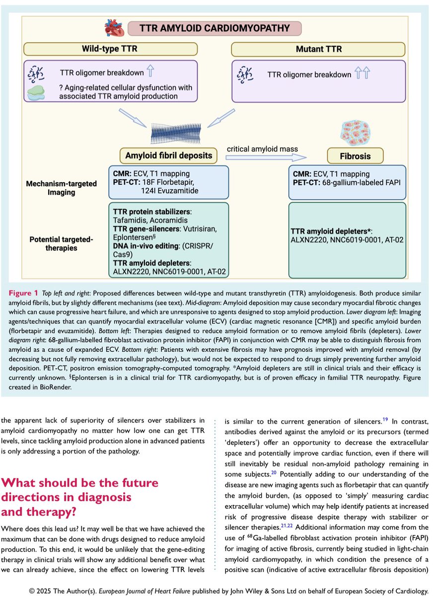 EJHF Editor-in-Chief (@ejhfeic) on Twitter photo 🗞️ Silencers versus stabilizers in #amyloid
#cardiomyopathy.
Are we asking the wrong questions?
<a href="/ESC_Journals/">European Society of Cardiology Journals</a> <a href="/GiuseppeGalati_/">Giuseppe Galati</a>
<a href="/AmrAbdin10/">Amr Abdin</a> <a href="/HanCardiomd/">Henry Han</a>
<a href="/HFA_President/">HFAPresident</a>
bit.ly/3X4a2na 🗞️ Silencers versus stabilizers in #amyloid
#cardiomyopathy.
Are we asking the wrong questions?
<a href="/ESC_Journals/">European Society of Cardiology Journals</a> <a href="/GiuseppeGalati_/">Giuseppe Galati</a>
<a href="/AmrAbdin10/">Amr Abdin</a> <a href="/HanCardiomd/">Henry Han</a>
<a href="/HFA_President/">HFAPresident</a>
bit.ly/3X4a2na