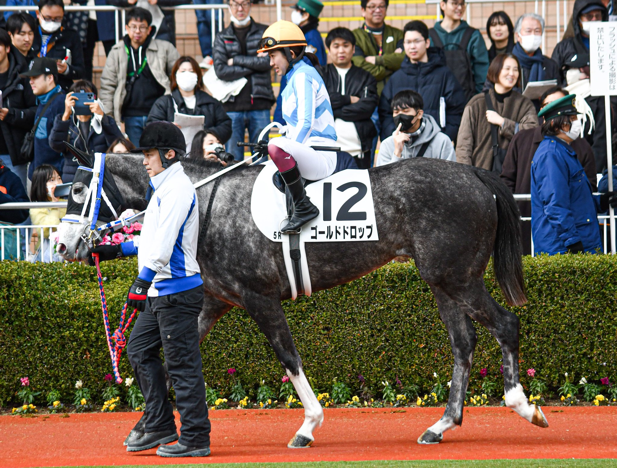 まねき馬倶楽部 今村聖奈 スペシャルとノーマルカードセット まねき馬倶楽部 今村聖奈 スペシャルとノーマルカードセット
