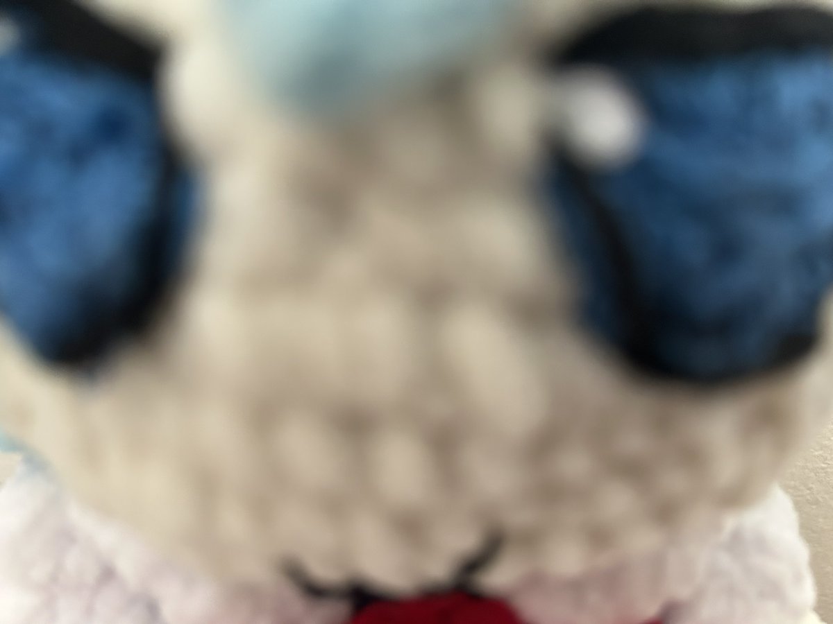 adaskoooo😭😭😭😭 tweet media