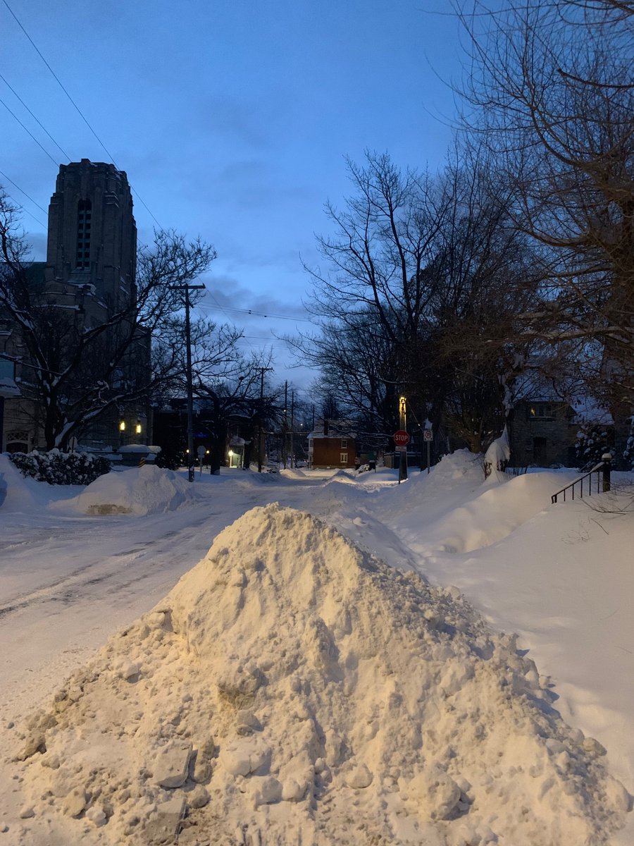 Siobhan Kirkland tweet media