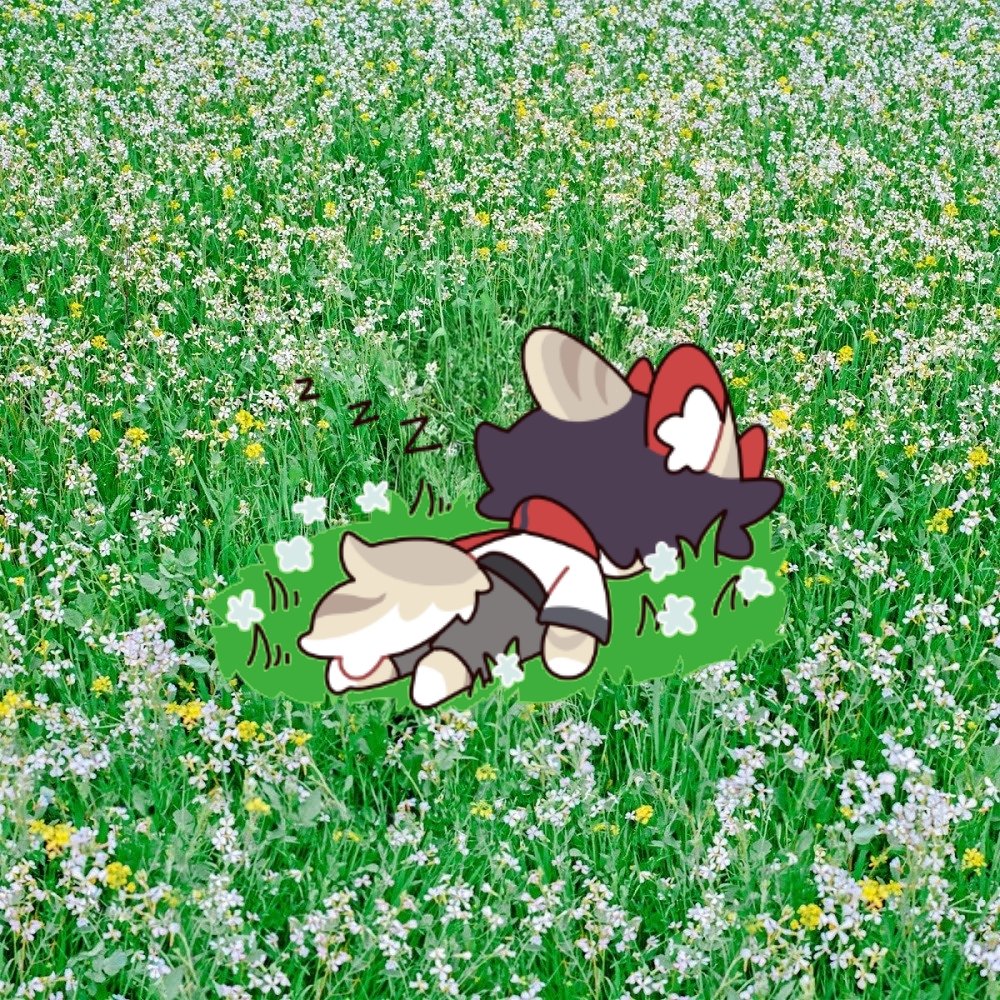 寻无UwU tweet media