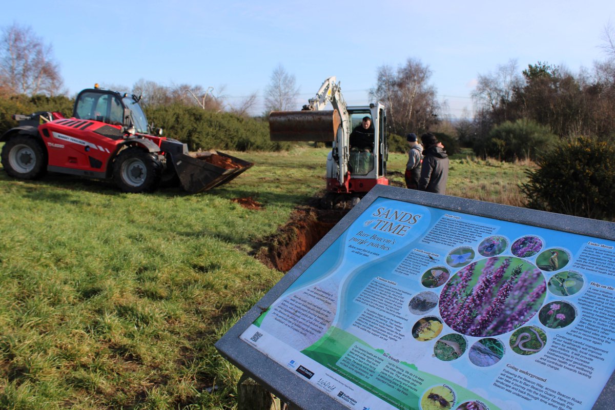 We’re working closely with partners to create more ‘bee beaches’ in the West Midlands! The habitats are crucial for helping wild pollinators, including two rare species that have been discovered in the area. Find out where the beaches are: tinyurl.com/mv952hsr

#PurpleHorizons
