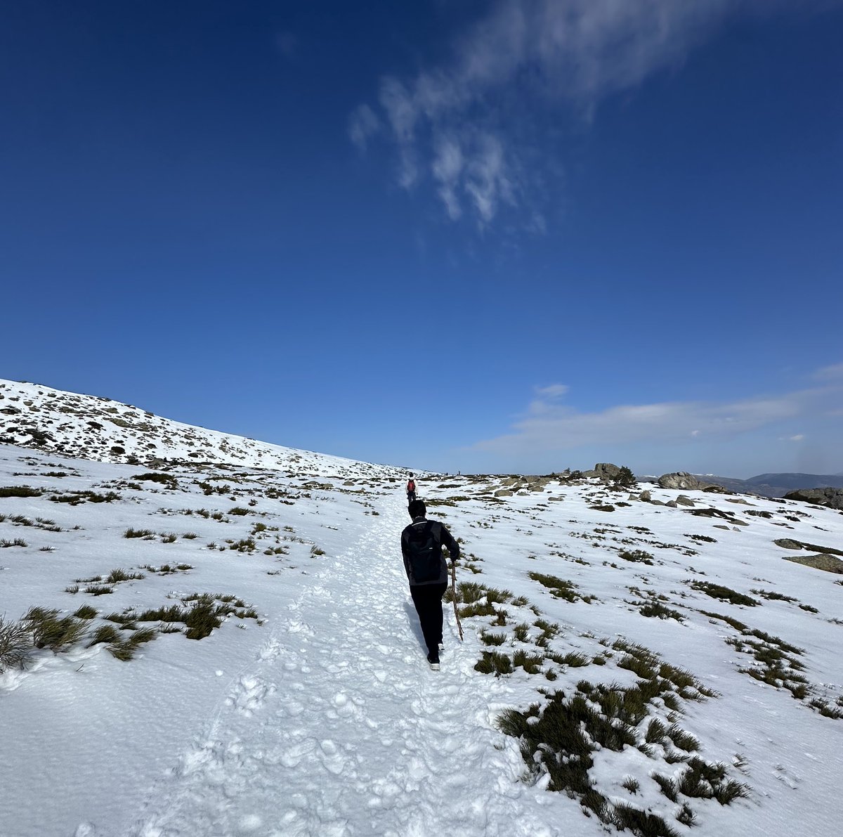 CdeCripto tweet media