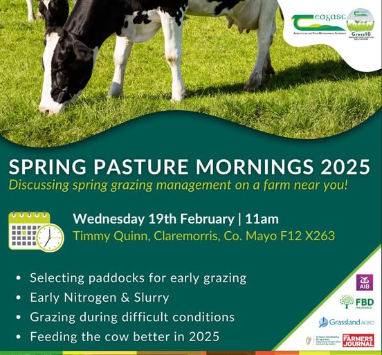 @TeagascMayo (@teagascmayo) on Twitter photo Come along next Wednesday 19th February to a Spring Pasture Event on the farm of Timmy Quinn and family, Claremorris, Co Mayo F12 X263. All are welcome
<a href="/AurivoFarmProf/">AurivoFarmProfit</a> <a href="/TeagascGrass10/">TeagascGrass10</a> <a href="/AurivoCo_op/">Aurivo</a> Come along next Wednesday 19th February to a Spring Pasture Event on the farm of Timmy Quinn and family, Claremorris, Co Mayo F12 X263. All are welcome
<a href="/AurivoFarmProf/">AurivoFarmProfit</a> <a href="/TeagascGrass10/">TeagascGrass10</a> <a href="/AurivoCo_op/">Aurivo</a>