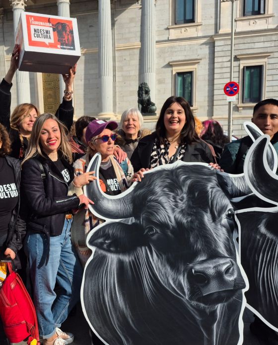 🥳 715,606 Signatures for the end of bullfighting as Cultural Heritage in Spain 🥳

This morning  a historic moment took place in Spain: 715,606 signatures were officially submitted to the Congress of Deputies of Spain. CAS International was in Madrid! Soon more on our website!