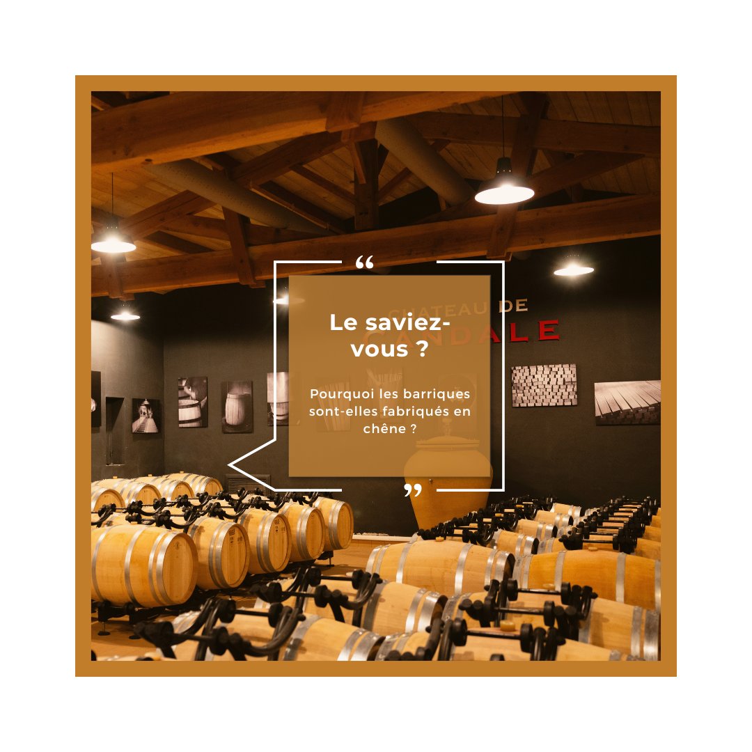 🇫🇷 {POURQUOI LES BARRIQUES SONT-ELLES FABRIQUÉES EN CHÊNE ?}
Le chêne n’a pas toujours été le bois de prédilection pour les barriques ! 🌳
Le chêne se distingue : robuste, poreux et souple, il apporte également des arômes subtils au vin.