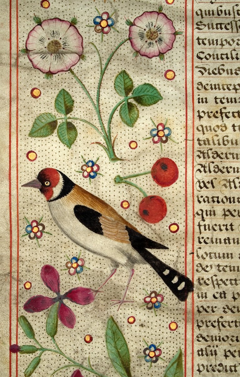 Canterbury Cathedral (@cburycathedral) on Twitter photo EXCLUSIVE ONSITE PARTNERSHIP CLASS
RSN Day Class: Jacobean Leaf 🍃📜
Fri 27 June, 10:00-16:00
Join <a href="/RoyalNeedlework/">Royal School of Needlework</a> tutor, Kathryn Sanders, to create your own leaf design inspired by a James I Charter.
£170pp
BOOK: ow.ly/SJf050V1eiI
Image © Royal School of Needlework EXCLUSIVE ONSITE PARTNERSHIP CLASS
RSN Day Class: Jacobean Leaf 🍃📜
Fri 27 June, 10:00-16:00
Join <a href="/RoyalNeedlework/">Royal School of Needlework</a> tutor, Kathryn Sanders, to create your own leaf design inspired by a James I Charter.
£170pp
BOOK: ow.ly/SJf050V1eiI
Image © Royal School of Needlework