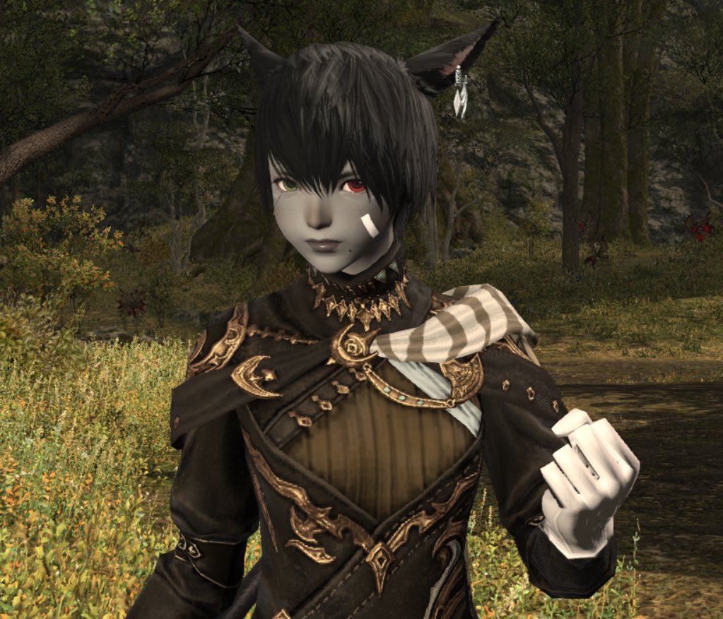 Kitty #FFXIV