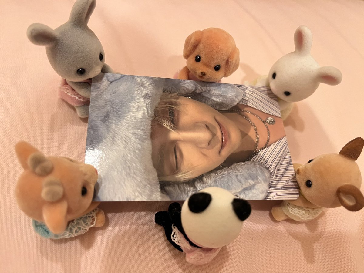 六畳一間 tweet media