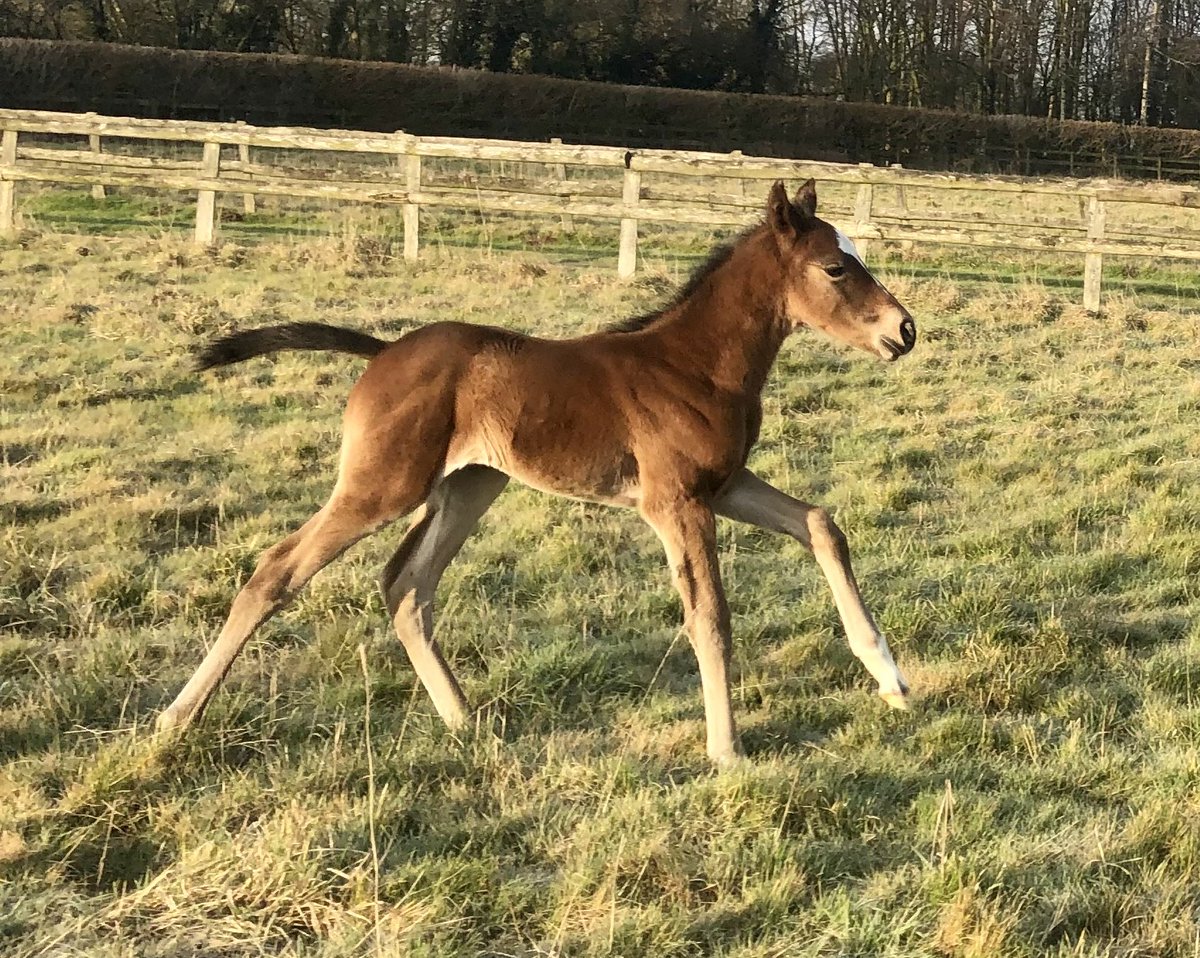 tim Cooper tweet media