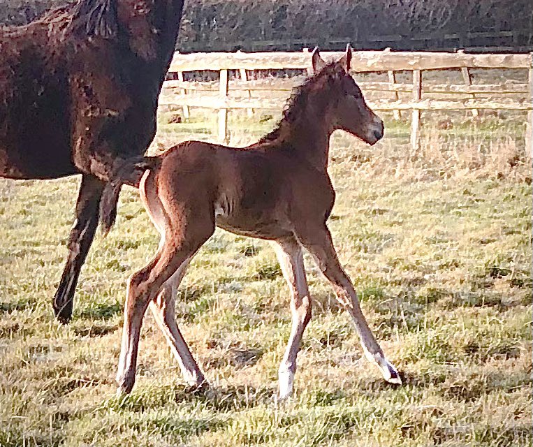 tim Cooper tweet media