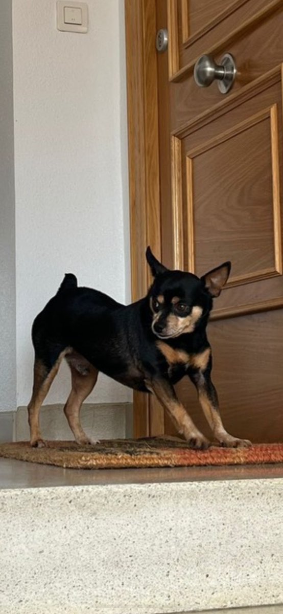 pa echarlo aún más de menos 🥲