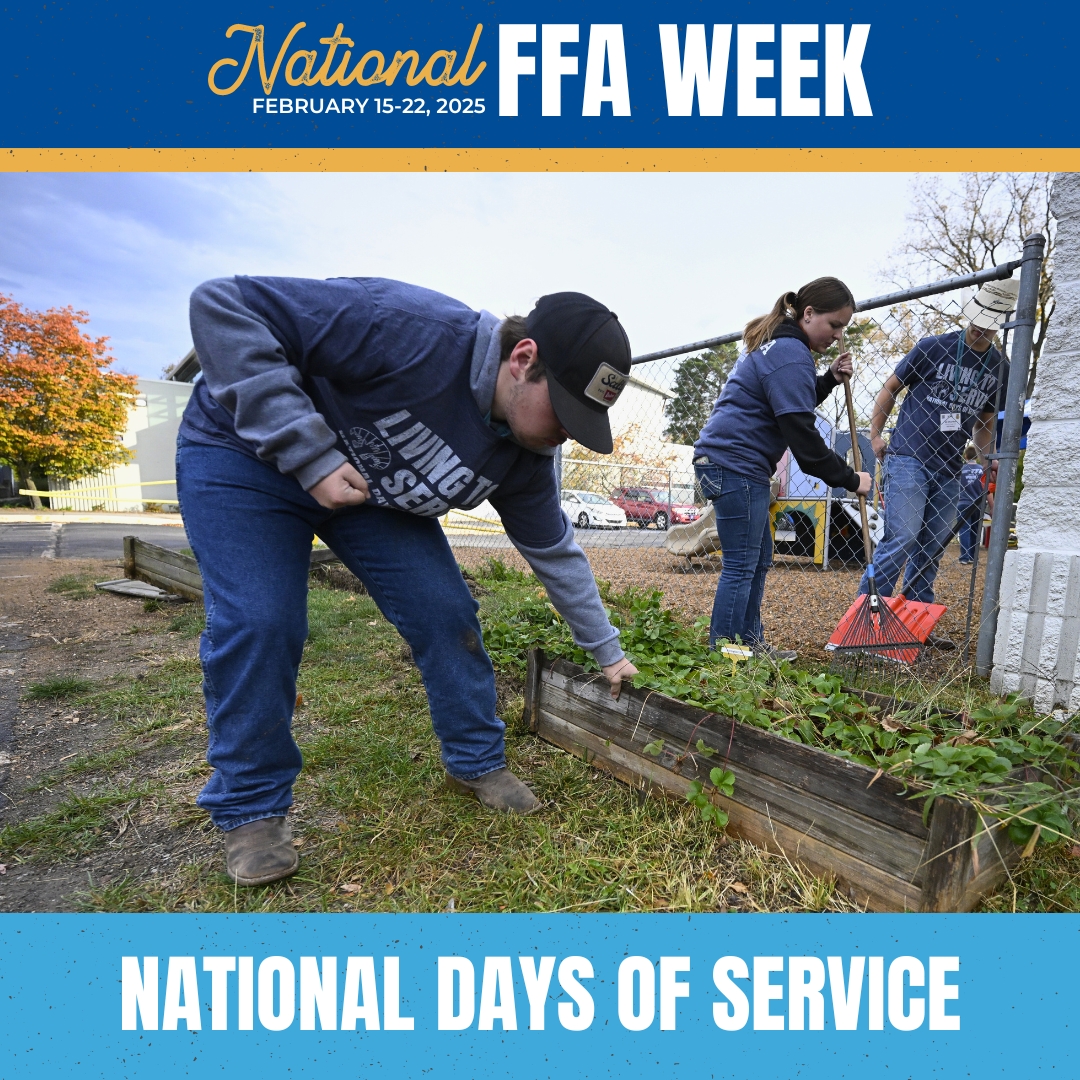NationalFFA's tweet image. Happy National Days of Service!🎉
Let's inspire others to join the movement of service and kindness.💙💛

#NDOS #FFAWeek