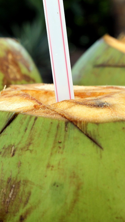 Gomantak_Times's tweet image. In Goa, the summer months are not just about enduring the heat; they’re about embracing it.
#goasummer #cooldrinks #cocktails #summertime #heat  
SEE MORE: gomantaktimes.com/ampstories/web…