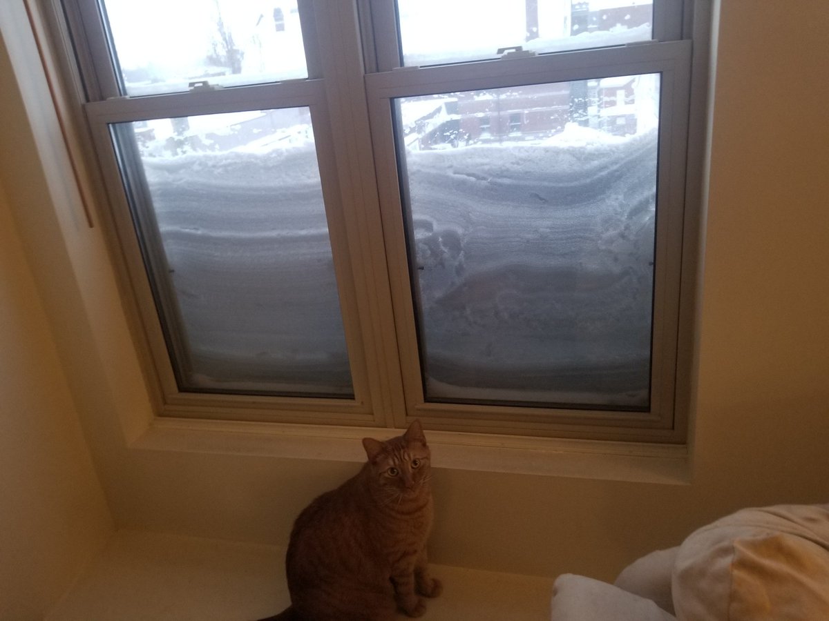 Our windows are snowed in this morning.