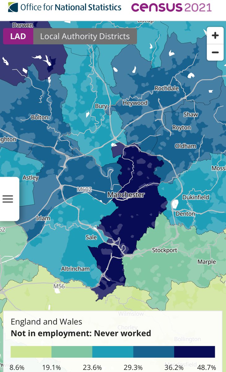 Wolf 🐺 tweet media