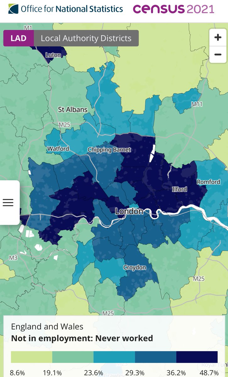 Wolf 🐺 tweet media