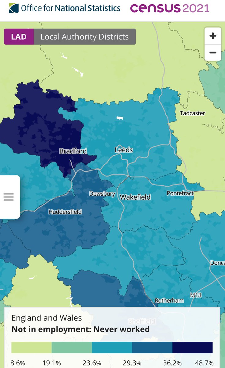 Wolf 🐺 tweet media