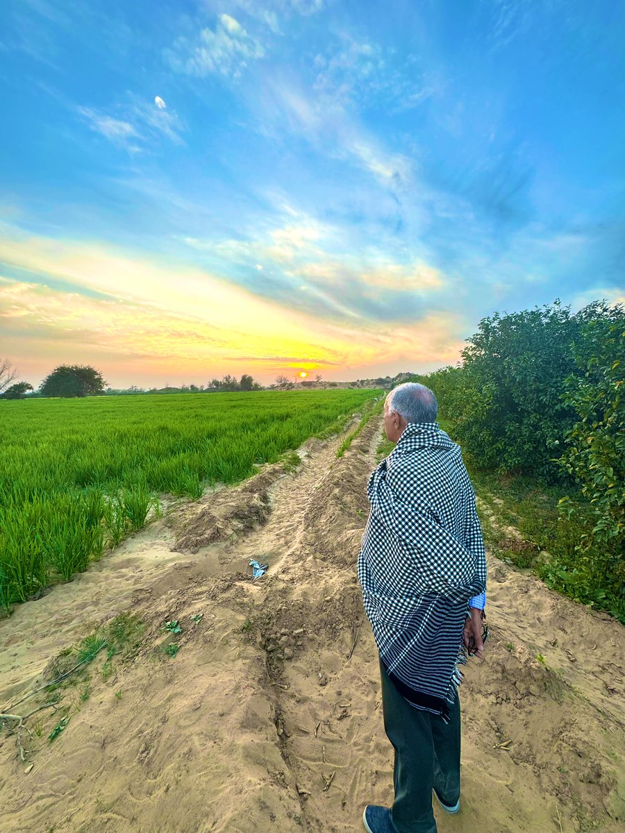 ParveenKaswan's tweet photo. Evening at father’s office. https://t.co/BgSJa3aW9X