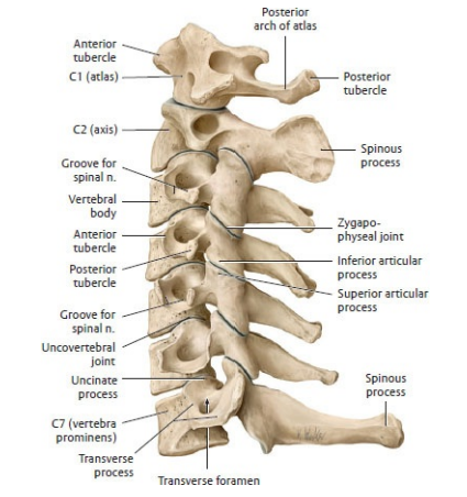 makindo.co.uk
get the apps